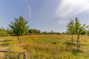 Photo 25- click for photo gallery